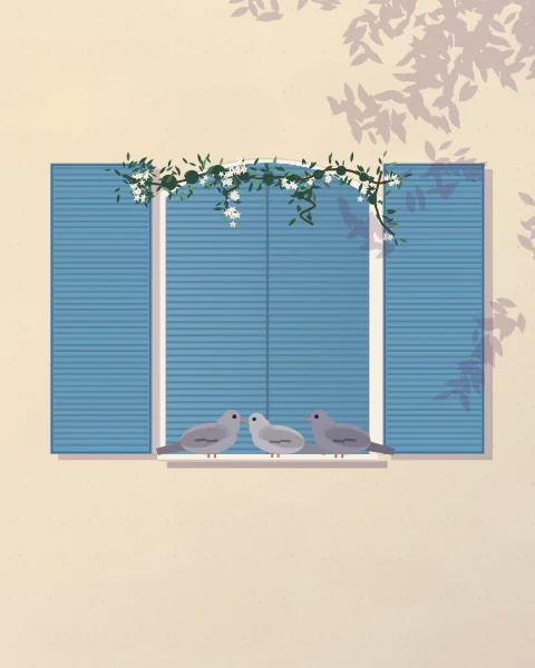 Three doves resting on the sill of a shuttered window in a pale wall, under a spray of jasmine, with soft afternoon shade.