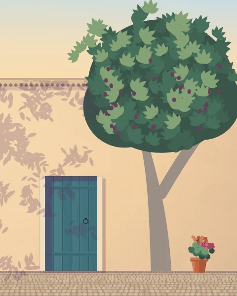 A broad fig tree leaning over a garden wall above a narrow teal door, its big lobed leaves casting shade on the warm plaster.