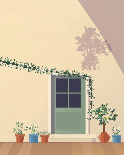 A sage-green kitchen door with pots of mint, basil and rosemary crowded on the step and a trail of jasmine above.