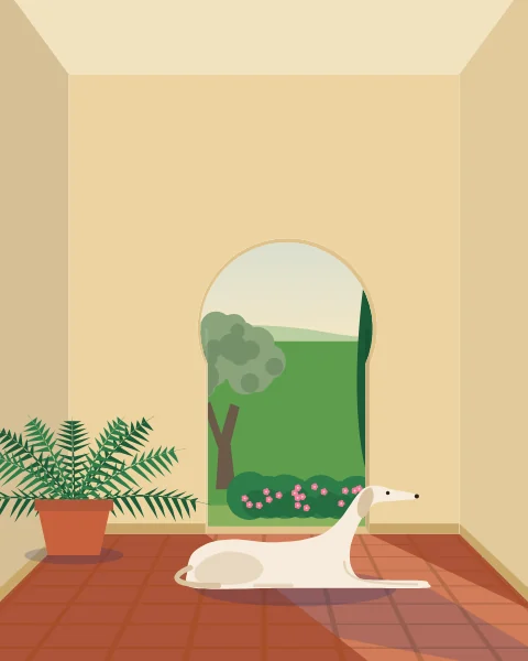 A sand-coloured room with a horseshoe arch, a saluki stretched out in the morning sun on the terracotta floor.