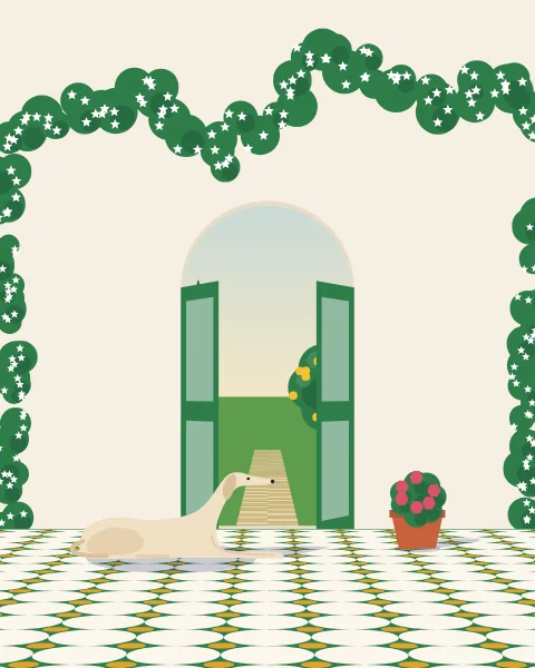 A white house front with an arched green door open on the garden, jasmine spilling across the wall and a hound asleep outside.
