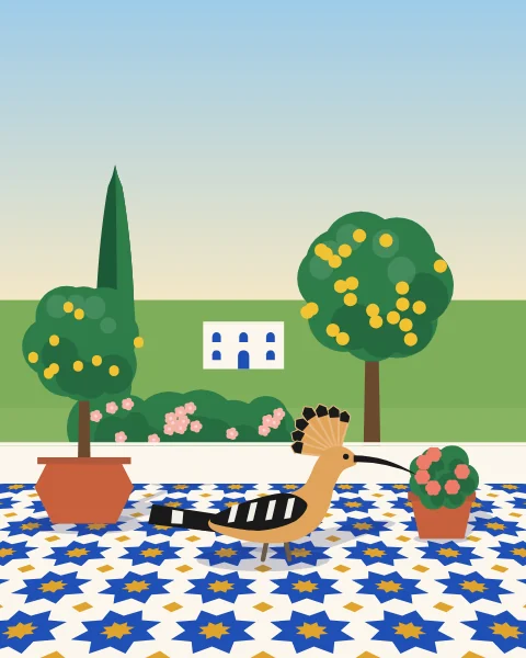 A hoopoe on a blue tiled terrace in the morning, a lemon tree in a pot and a garden beyond the low wall.