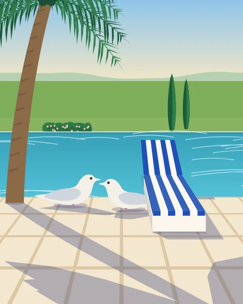 Two white doves on the stone edge of a pool in the early morning, a striped lounger and the long shadow of a palm across the paving.