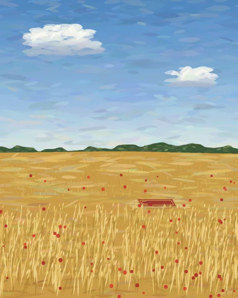 A prayer mat lies in a cleared patch in the middle of a ripe wheat field, with poppies among the stalks and summer clouds above.