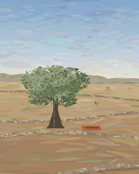 A prayer mat lies near a broad, silvery olive tree on a terraced hillside of warm earth and dry stone walls.