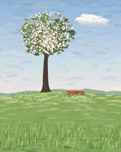 A prayer mat lies beneath an almond tree in full white and pink blossom on a soft green slope.