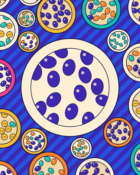Bowls of green and black olives and preserved lemons seen from above on a striped blue ground.