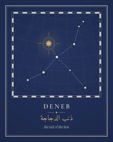 An engraved star-atlas plate of Cygnus on an indigo ground, with a fine coordinate grid, a chequered border and Deneb picked out in gold.
