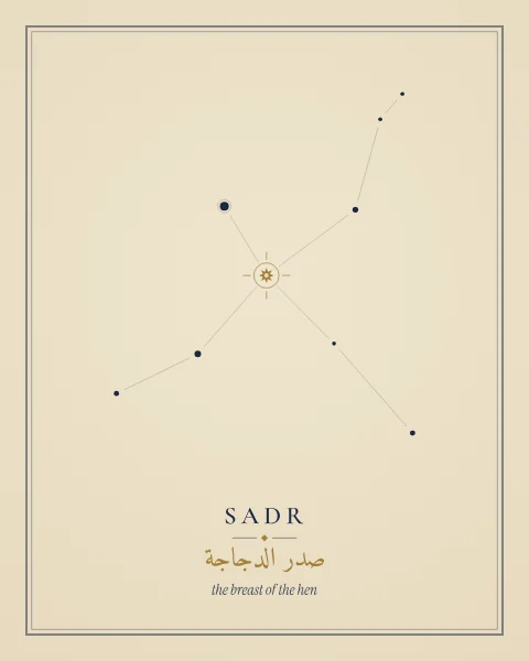 A quiet parchment print: the stars of Cygnus in fine dots and hairlines, Sadr a single gold point, and its names set small beneath.