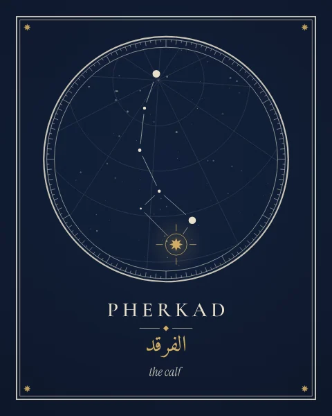 Pherkad marked in gold among the stars of Ursa Minor, drawn inside an astrolabe ring of degree marks on a deep blue ground, with its modern and Arabic names below.