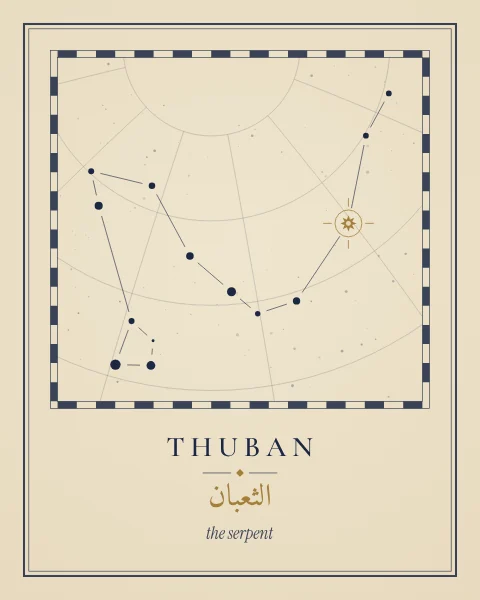 An engraved star-atlas plate of Draco on a parchment ground, with a fine coordinate grid, a chequered border and Thuban picked out in gold.