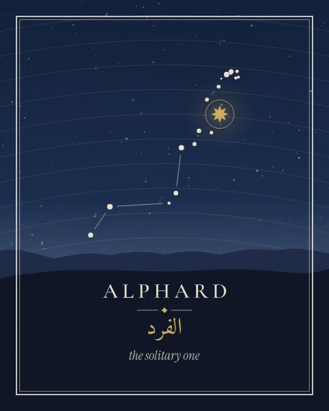 The stars of Hydra rising over low dunes under a night-blue sky, with Alphard marked in gold and its names set on the land below.