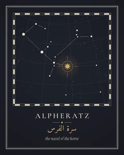 An engraved star-atlas plate of Andromeda on an ink-dark ground, with a fine coordinate grid, a chequered border and Alpheratz picked out in gold.