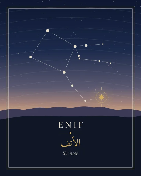 The stars of Pegasus rising over low dunes under a dusk sky, with Enif marked in gold and its names set on the land below.