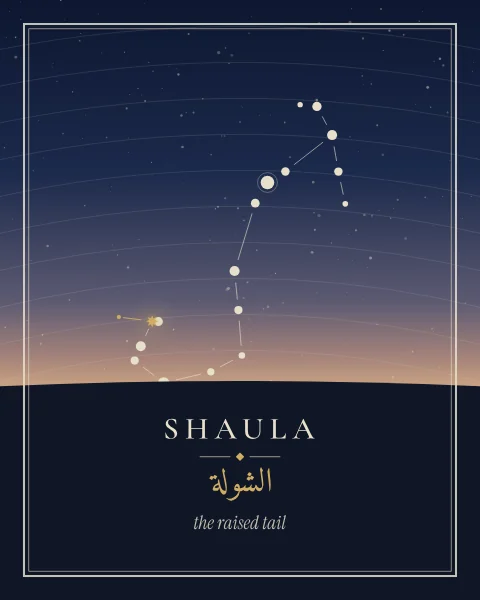 The stars of Scorpius rising over a dark plain under a dusk sky, with Shaula marked in gold and its names set on the land below.