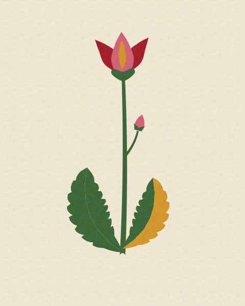 A single crimson tulip on a tall stem with long serrated leaves and a closed bud, on plain ivory cotton.