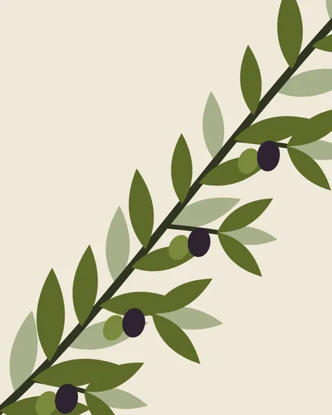 One olive branch crossing the whole sheet on cream. Its leaves are in olive and silver sage, with dark, ripe olives along the stem.