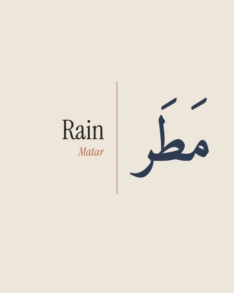 Matar in vowelled dusk-blue naskh beside the English “Rain” in serif, divided by a fine terracotta rule on bone.